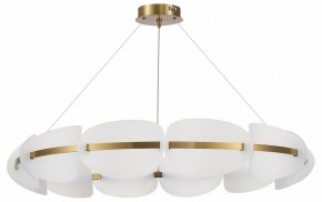 Подвесная люстра ST-Luce Etoile SL1304.203.65 в Южноуральске - yuzhnouralsk.mebel24.online | фото 3