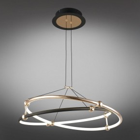 Подвесной светильник Aployt Diana APL.034.03.40 в Южноуральске - yuzhnouralsk.mebel24.online | фото 11