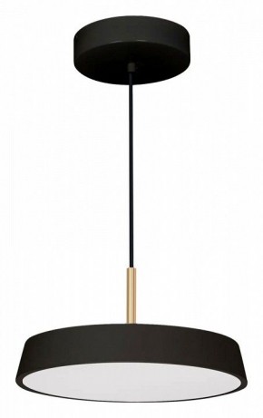 Подвесной светильник Arlight ELEGANT 033921(1) в Южноуральске - yuzhnouralsk.mebel24.online | фото 2