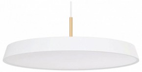 Подвесной светильник Arlight ELEGANT 033924(1) в Южноуральске - yuzhnouralsk.mebel24.online | фото