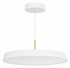 Подвесной светильник Arlight ELEGANT 033925(1) в Южноуральске - yuzhnouralsk.mebel24.online | фото 2