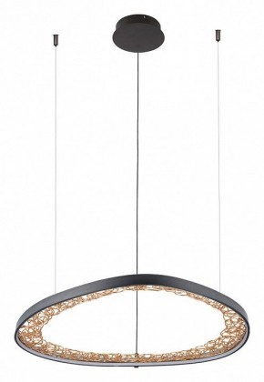 Подвесной светильник Arte Lamp Cinta A1847SP-46BK в Южноуральске - yuzhnouralsk.mebel24.online | фото 2
