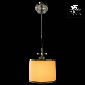 Подвесной светильник Arte Lamp Furore A3990SP-1CC в Южноуральске - yuzhnouralsk.mebel24.online | фото 3