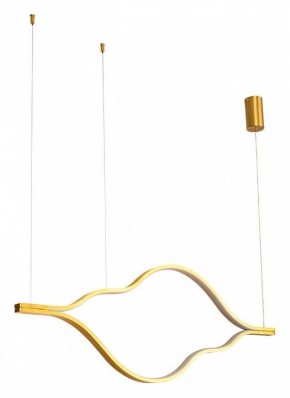 Подвесной светильник Arte Lamp Odyssey A2911SP-31GO в Южноуральске - yuzhnouralsk.mebel24.online | фото 2