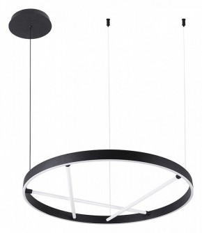 Подвесной светильник Arte Lamp Ricco A1874SP-32BK в Южноуральске - yuzhnouralsk.mebel24.online | фото 2