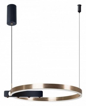 Подвесной светильник Arte Lamp Veritate A2221SP-1BR в Южноуральске - yuzhnouralsk.mebel24.online | фото 3
