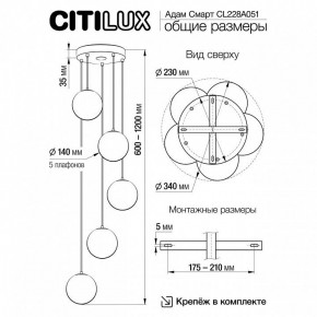 Подвесной светильник Citilux Адам Смарт CL228A051 в Южноуральске - yuzhnouralsk.mebel24.online | фото 5