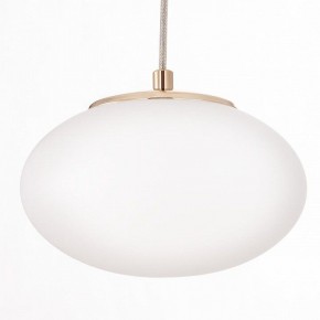 Подвесной светильник Citilux Atman Smart CL226A053 в Южноуральске - yuzhnouralsk.mebel24.online | фото 10