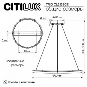 Подвесной светильник Citilux Trio CL215B051 в Южноуральске - yuzhnouralsk.mebel24.online | фото 8