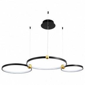 Подвесной светильник Divinare Amadeo 1123/04 SP-75 в Южноуральске - yuzhnouralsk.mebel24.online | фото