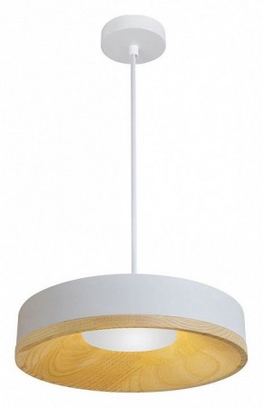 Подвесной светильник Divinare Vaso 5119/33 SP-12 в Южноуральске - yuzhnouralsk.mebel24.online | фото 2