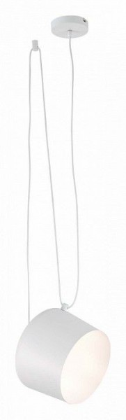 Подвесной светильник EVOLUCE Trieste SLE120653-01 в Южноуральске - yuzhnouralsk.mebel24.online | фото 3