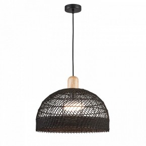 Подвесной светильник Favourite Plat 4461-1P в Южноуральске - yuzhnouralsk.mebel24.online | фото 3