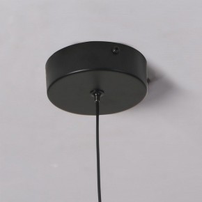 Подвесной светильник Favourite Wilet 4656-1P в Южноуральске - yuzhnouralsk.mebel24.online | фото 10