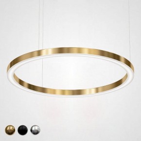 Подвесной светильник Imperiumloft Light Ring Horizontal 40.1454-120 в Южноуральске - yuzhnouralsk.mebel24.online | фото