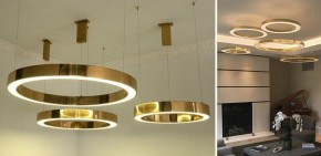 Подвесной светильник Imperiumloft Light Ring Horizontal 40.1454-60 в Южноуральске - yuzhnouralsk.mebel24.online | фото 2
