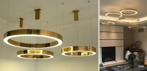 Подвесной светильник Imperiumloft Light Ring Horizontal 40.1454-60 в Южноуральске - yuzhnouralsk.mebel24.online | фото 4
