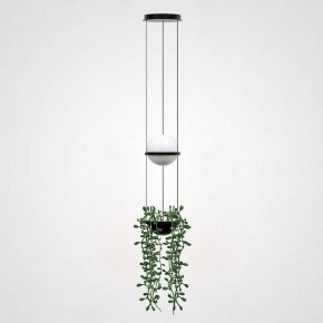 Подвесной светильник Imperiumloft Palma Wall Lamp 22.93727 в Южноуральске - yuzhnouralsk.mebel24.online | фото