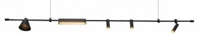 Подвесной светильник Kink Light Ристо 07616-180L,19 в Южноуральске - yuzhnouralsk.mebel24.online | фото