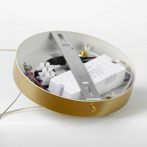 Подвесной светильник LGO Wave LSP-7216 в Южноуральске - yuzhnouralsk.mebel24.online | фото 6