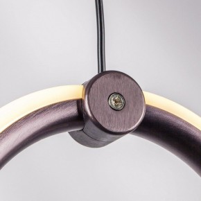 Подвесной светильник Lightstar Caramello 796115 в Южноуральске - yuzhnouralsk.mebel24.online | фото 9