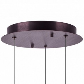 Подвесной светильник Lightstar Caramello 796139 в Южноуральске - yuzhnouralsk.mebel24.online | фото 13