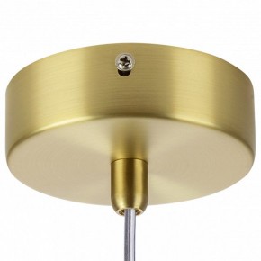 Подвесной светильник Lightstar Colore 805306 в Южноуральске - yuzhnouralsk.mebel24.online | фото 7