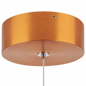 Подвесной светильник Lightstar Colore 805402 в Южноуральске - yuzhnouralsk.mebel24.online | фото 6