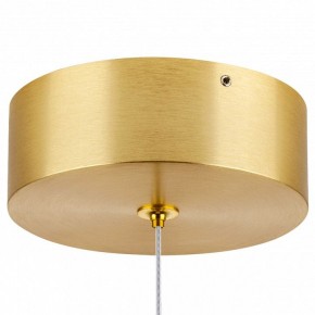 Подвесной светильник Lightstar Colore 805403 в Южноуральске - yuzhnouralsk.mebel24.online | фото 7