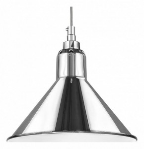 Подвесной светильник Lightstar Loft 765024 в Южноуральске - yuzhnouralsk.mebel24.online | фото 2