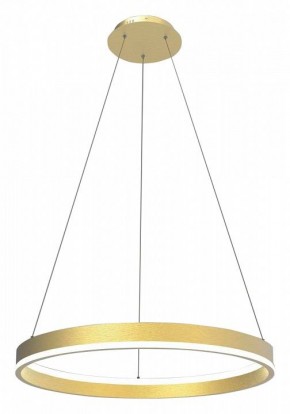 Подвесной светильник Lightstar Rotonda 736402 в Южноуральске - yuzhnouralsk.mebel24.online | фото 2