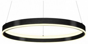 Подвесной светильник Lightstar Rotonda 736407 в Южноуральске - yuzhnouralsk.mebel24.online | фото
