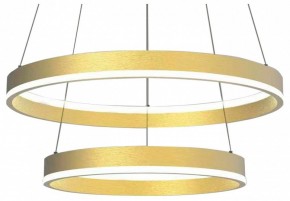 Подвесной светильник Lightstar Rotonda 736422 в Южноуральске - yuzhnouralsk.mebel24.online | фото