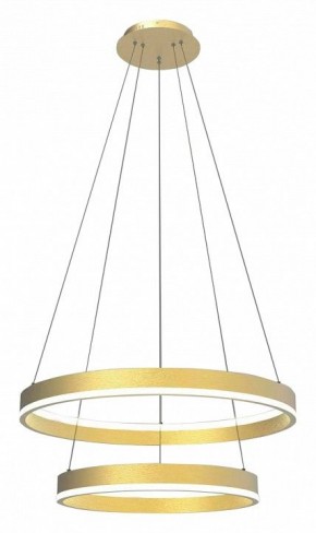 Подвесной светильник Lightstar Rotonda 736422 в Южноуральске - yuzhnouralsk.mebel24.online | фото 2