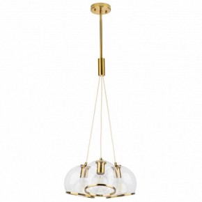 Подвесной светильник Lightstar Sferico 729031 в Южноуральске - yuzhnouralsk.mebel24.online | фото 2