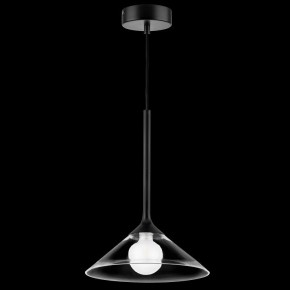 Подвесной светильник Lightstar Vetro 801204 в Южноуральске - yuzhnouralsk.mebel24.online | фото 2