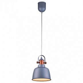 Подвесной светильник Lucia Tucci Industrial INDUSTRIAL 1820.1 SAND SILVER в Южноуральске - yuzhnouralsk.mebel24.online | фото 2
