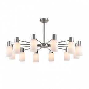 Подвесной светильник Lumion Mave 8099/12C в Южноуральске - yuzhnouralsk.mebel24.online | фото 2