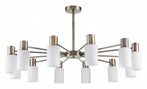 Подвесной светильник Lumion Mave 8100/12C в Южноуральске - yuzhnouralsk.mebel24.online | фото