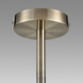 Подвесной светильник Lumion Mave 8100/12C в Южноуральске - yuzhnouralsk.mebel24.online | фото 8