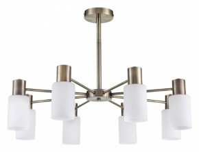 Подвесной светильник Lumion Mave 8100/8C в Южноуральске - yuzhnouralsk.mebel24.online | фото