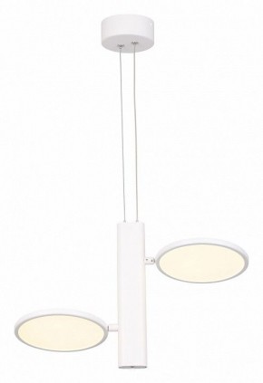 Подвесной светильник Lussole Aberdeen LSP-7085 в Южноуральске - yuzhnouralsk.mebel24.online | фото 3