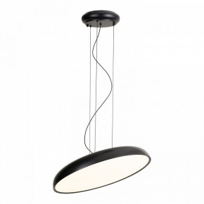 Подвесной светильник Lussole Crook LSP-7360 в Южноуральске - yuzhnouralsk.mebel24.online | фото 2