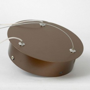 Подвесной светильник Lussole Dade LSP-7250 в Южноуральске - yuzhnouralsk.mebel24.online | фото 5