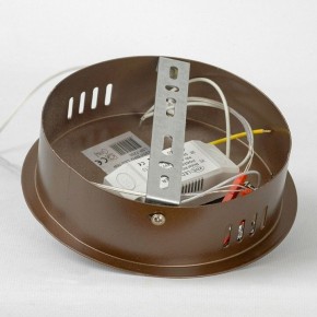 Подвесной светильник Lussole Dade LSP-7250 в Южноуральске - yuzhnouralsk.mebel24.online | фото 6