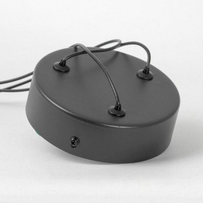 Подвесной светильник Lussole Gilmer LSP-0936 в Южноуральске - yuzhnouralsk.mebel24.online | фото 4
