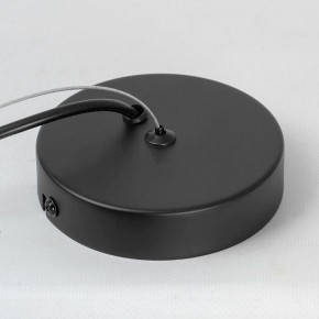Подвесной светильник Lussole Miller LSP-8924 в Южноуральске - yuzhnouralsk.mebel24.online | фото 6