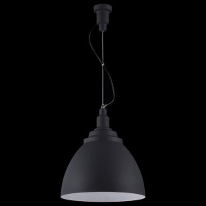 Подвесной светильник Maytoni Bellevue P535PL-01B в Южноуральске - yuzhnouralsk.mebel24.online | фото 3