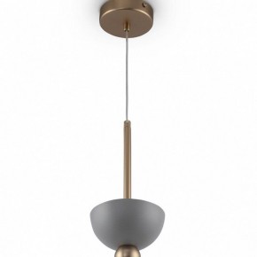 Подвесной светильник Maytoni Cloches MOD113PL-01W в Южноуральске - yuzhnouralsk.mebel24.online | фото 4