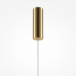 Подвесной светильник Maytoni Golden Cage MOD216PL-L10G3K в Южноуральске - yuzhnouralsk.mebel24.online | фото 4